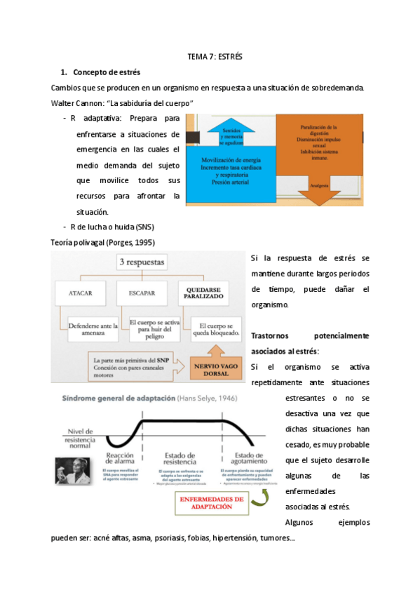 Miniatura del documento TEMA-7.pdf
