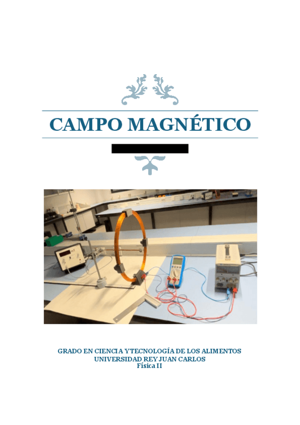 Miniatura del documento Campo-magnetico.pdf
