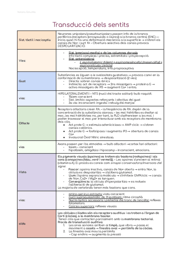 Miniatura del documento Taula resum transducció sensitiva. Psicobio I.pdf