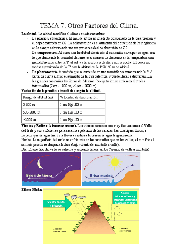 Miniatura del documento TEMA-7.pdf
