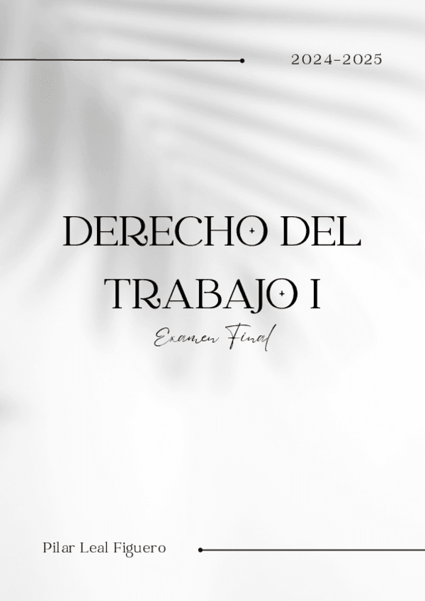 Miniatura del documento Examen-final-trabajo.pdf