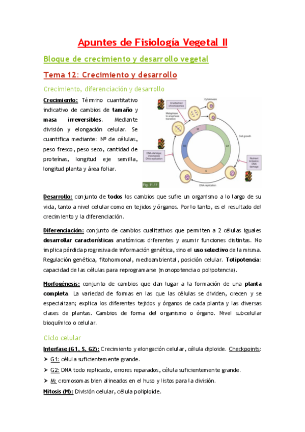 Miniatura del documento Apuntes-de-parcial-II.pdf