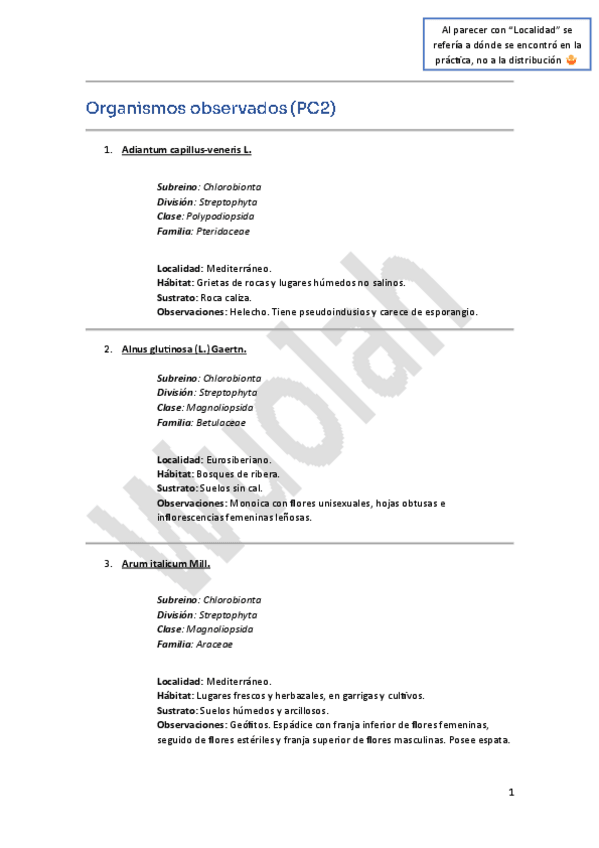 Miniatura del documento Organismos observados (PC2).pdf