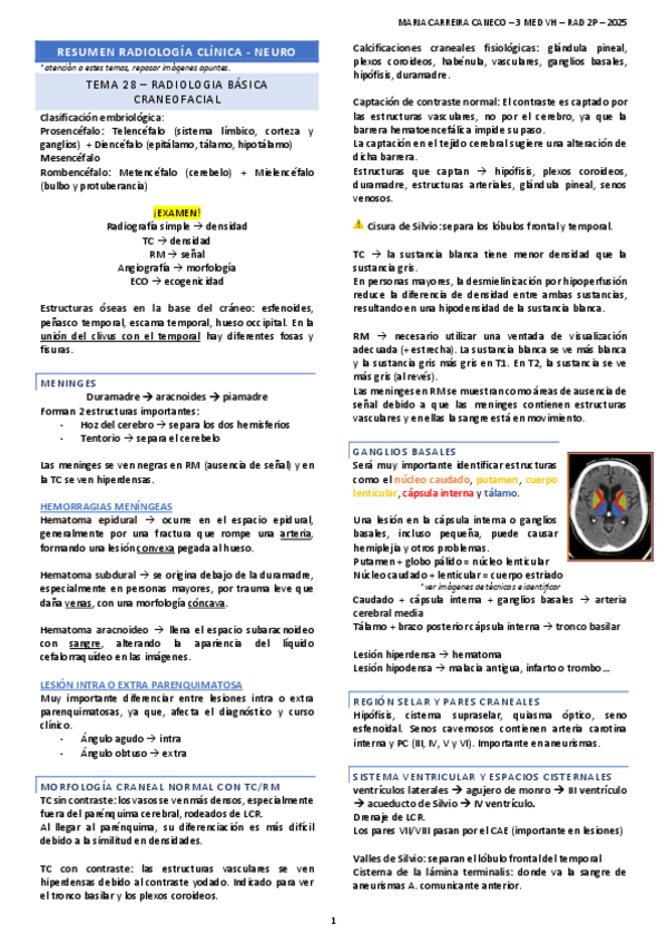 Miniatura del documento RESUMEN-RADIO-P2-NEURO.pdf