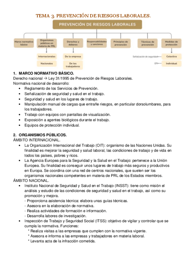 Miniatura del documento Tema-3.-Prevencion-de-riesgos-laborales.pdf