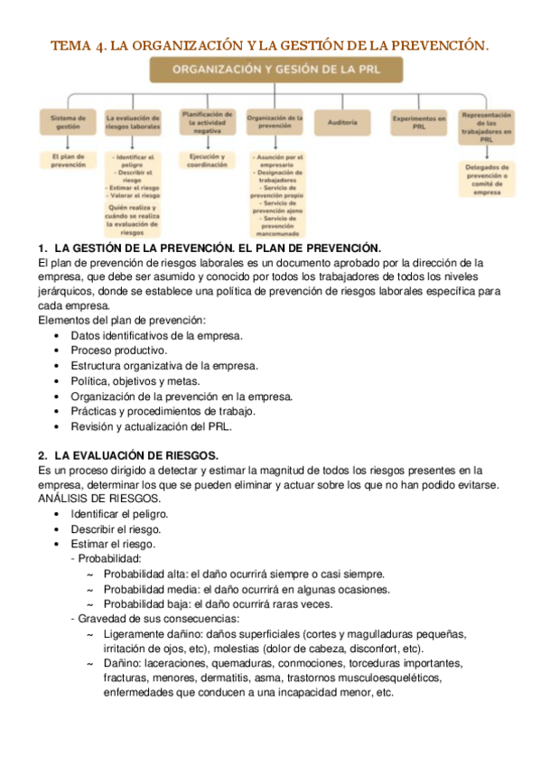 Miniatura del documento Tema-4.-La-organizacion-y-la-gestion-de-la-prevencion.pdf