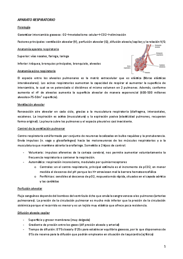 Miniatura del documento 2-Respiratorio.pdf