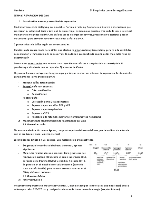 Miniatura del documento 6-Reparacion-del-DNA.pdf