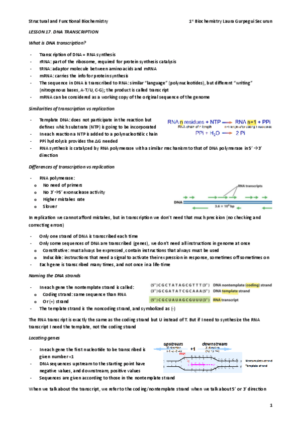 Miniatura del documento 17-Transcription.pdf