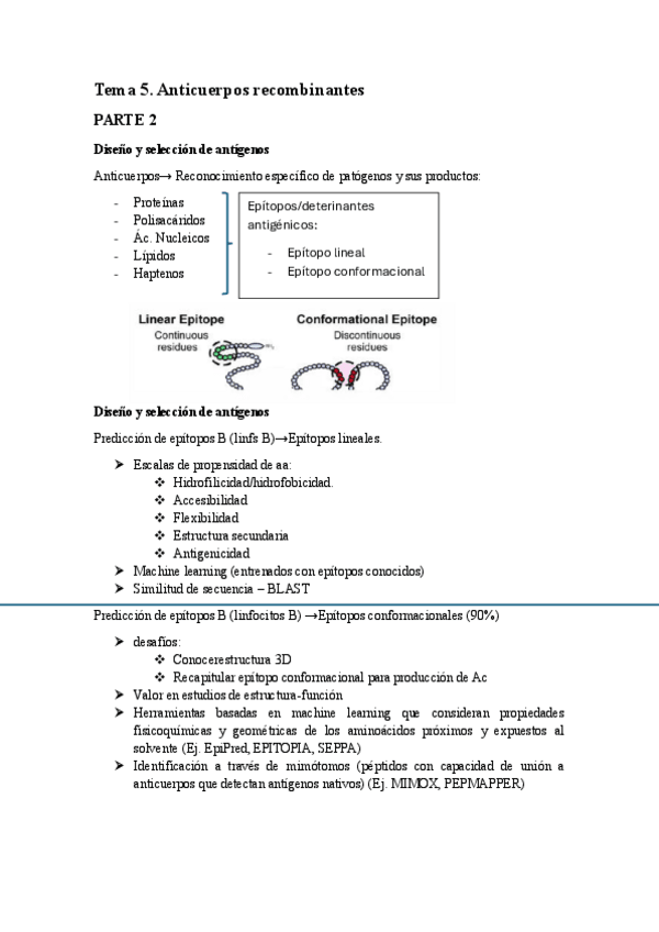 Miniatura del documento Tema-5.2.pdf