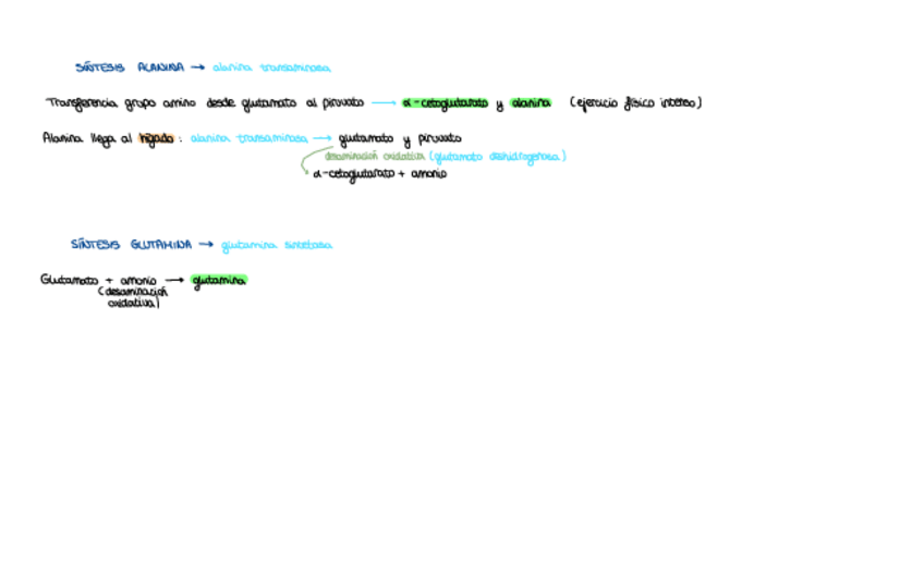 Miniatura del documento Sintesis-alanina-y-glutamina.pdf