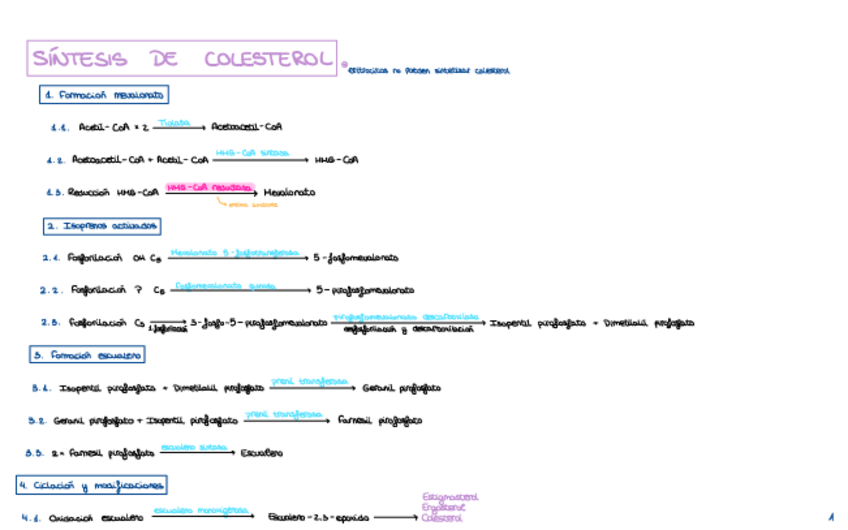 Miniatura del documento Sintesis-colesterol.pdf