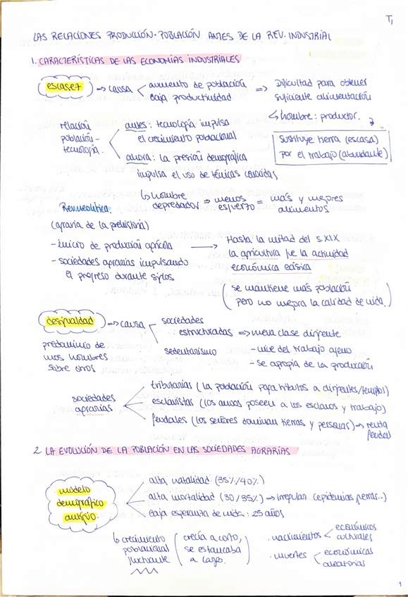 Miniatura del documento resumen-t1-t9-historia.pdf