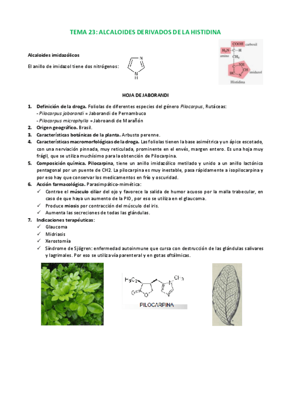 Miniatura del documento Tema 23 farmacognosia.pdf