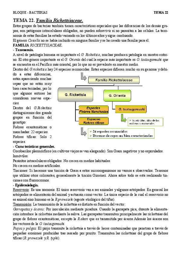 Miniatura del documento T22 - Rickettsias.pdf