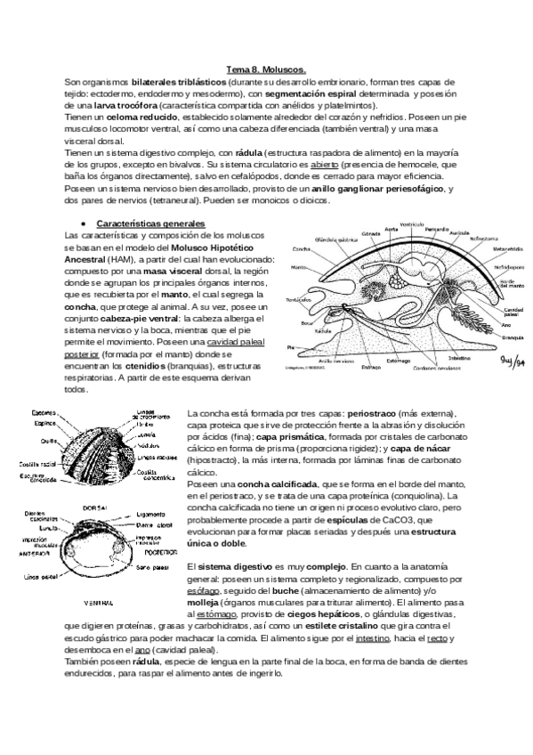 Miniatura del documento Tema-8-12.-Zoologia..pdf
