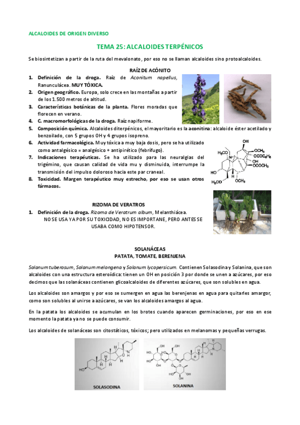 Miniatura del documento Tema 25 farmacognosia.pdf