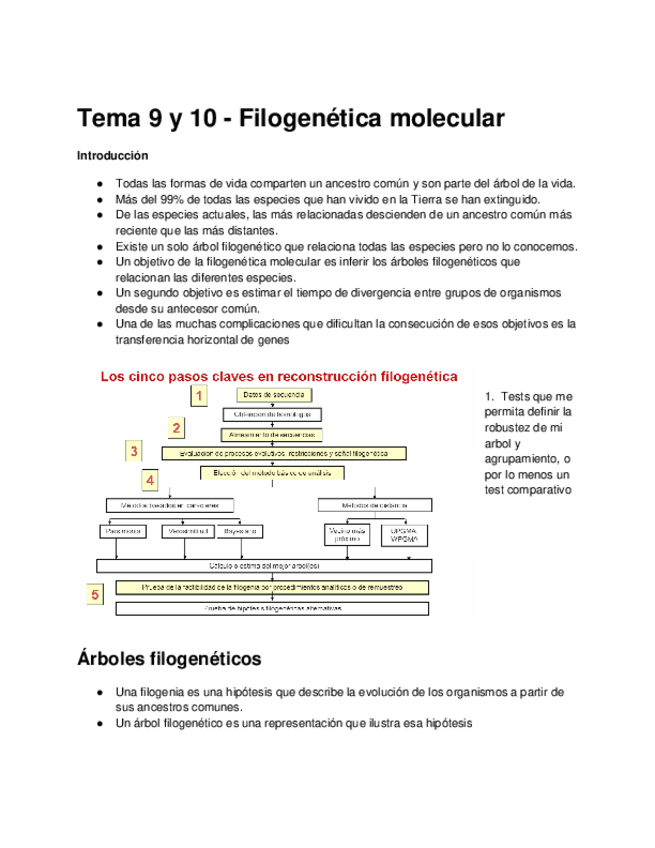 Miniatura del documento Tema-9-y-10-Filogenetica-molecular.pdf