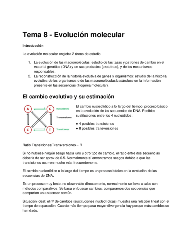 Miniatura del documento Tema-8-Evolucion-molecular.pdf