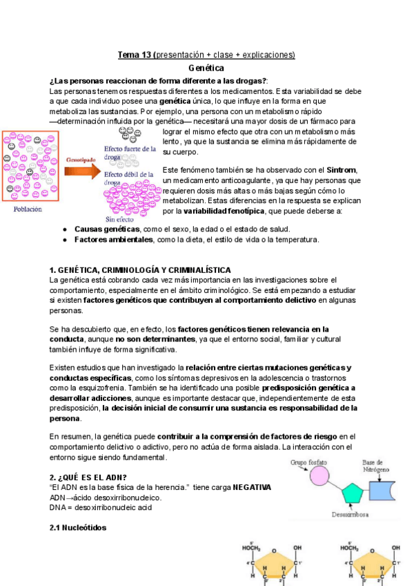 Miniatura del documento F.-biomedicos-T13-Ana.pdf
