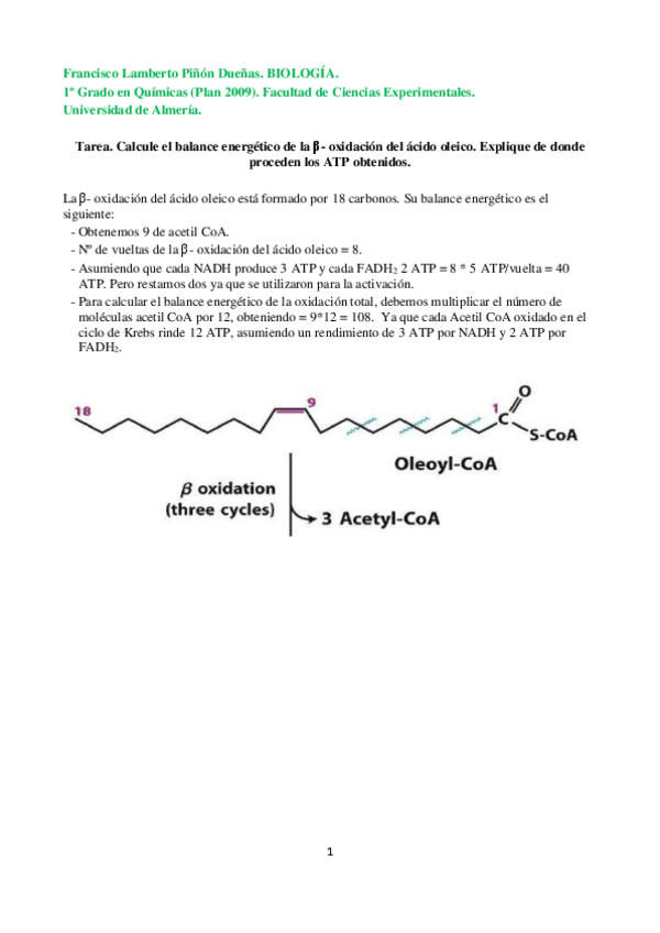 Miniatura del documento BETA-OXIDACION-DEL-ACIDO-OLEICO.pdf