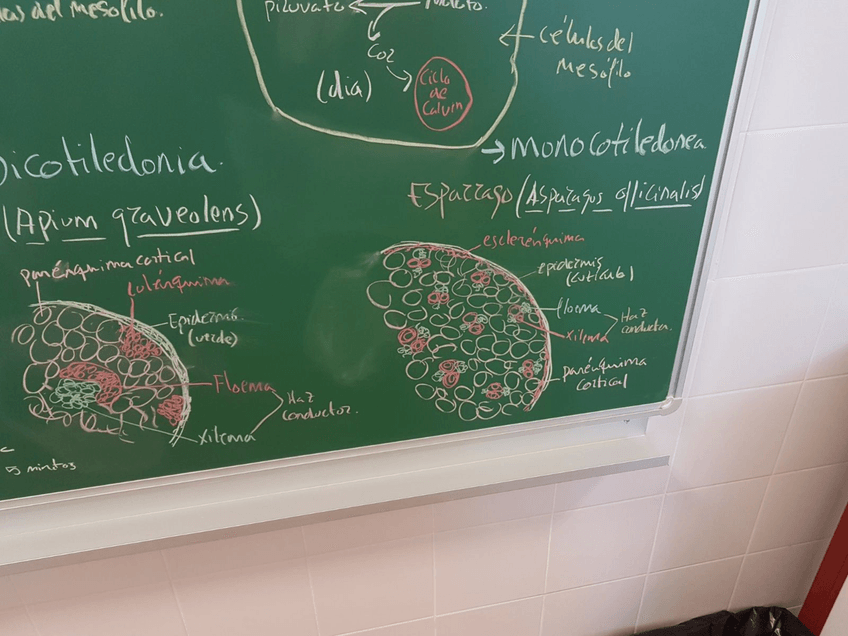 Miniatura del documento IMG-20170425-WA0030.jpg