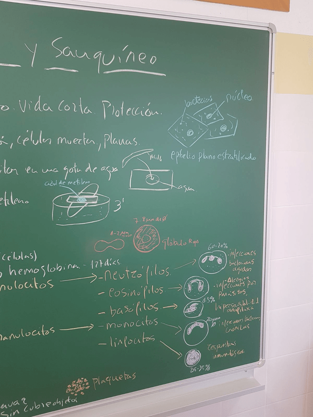 Miniatura del documento IMG-20170510-WA0016.jpg