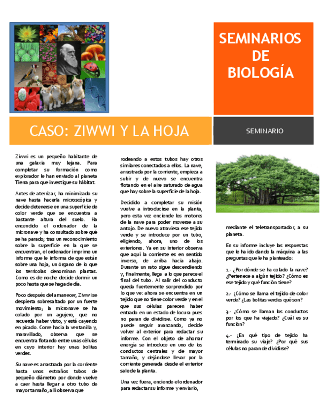 Miniatura del documento ZIWWI-Y-LA-HOJAQ.pdf