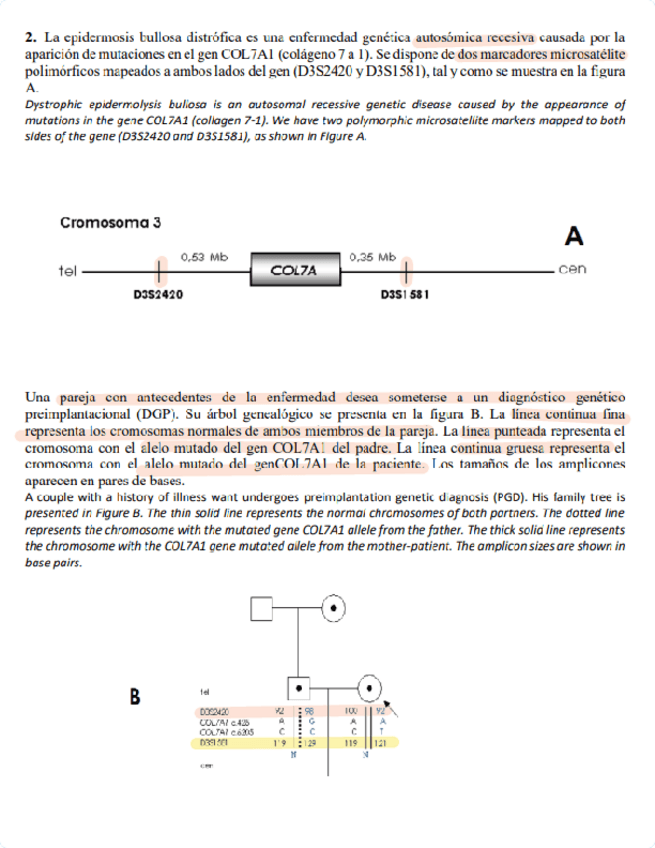 Miniatura del documento Ejercicio-diagnostico-tema-4.pdf