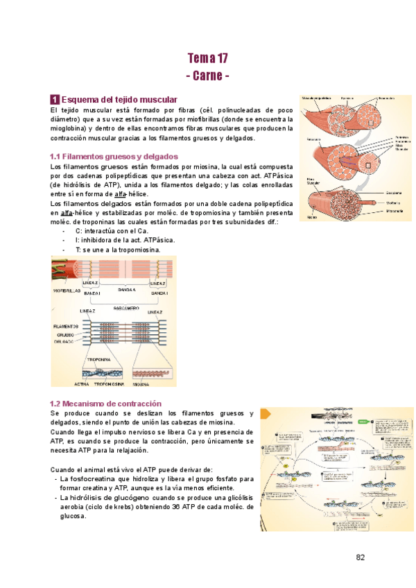 Miniatura del documento Bloque-3-Prod.-de-origen-animal-y-vegetal.pdf
