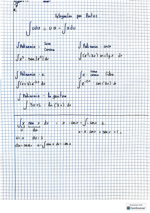 Miniatura del documento Integrales-por-partes.pdf