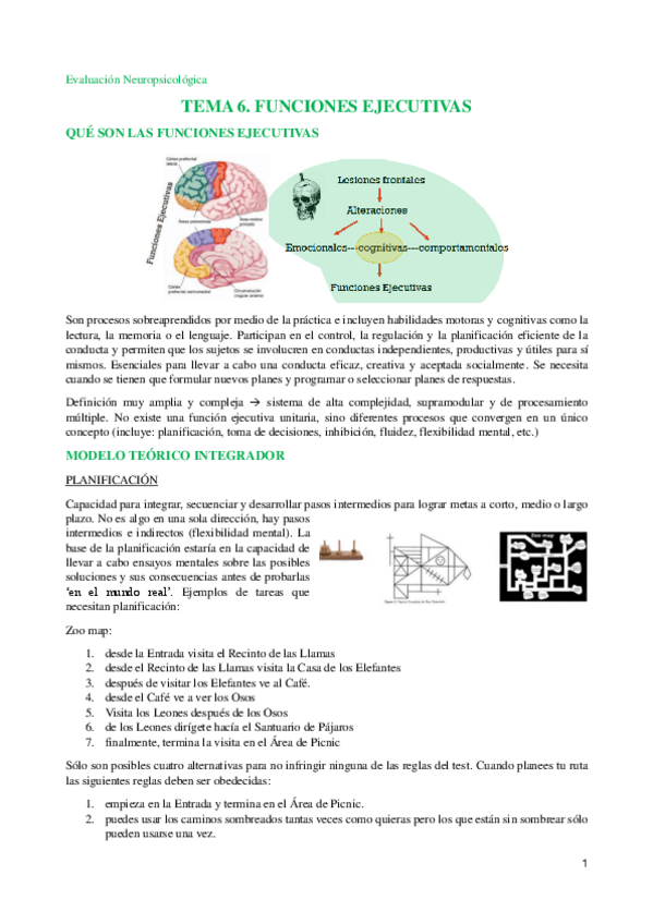 Miniatura del documento Tema-6-Ev-Neuropsicologica.pdf
