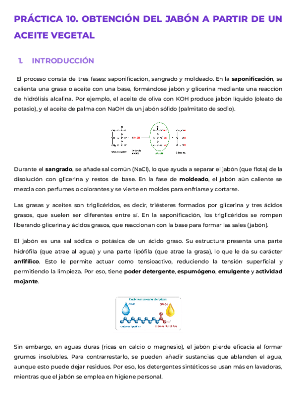 Miniatura del documento INFORME-PRACTICA-10.pdf