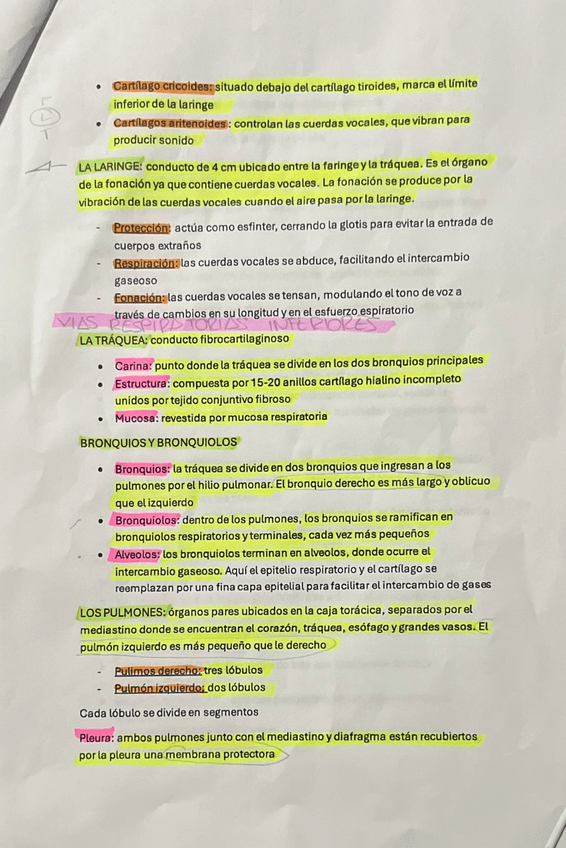 Miniatura del documento IMG6062.jpeg