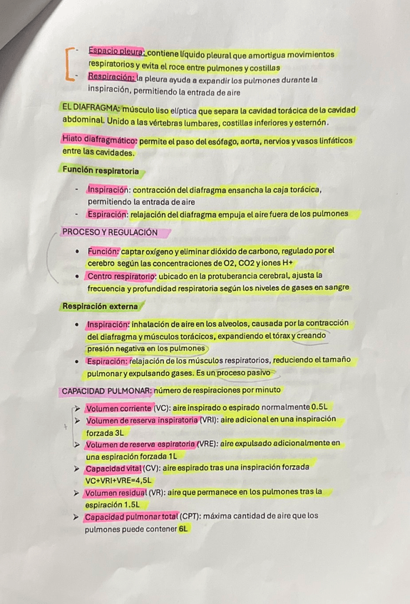 Miniatura del documento IMG6063.jpeg