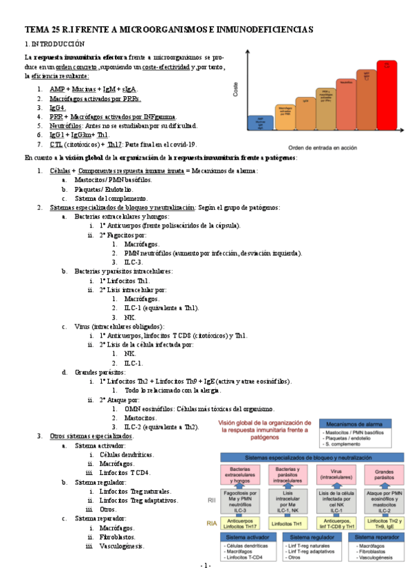 Miniatura del documento INMUNOPATOLOGIA-TEMA-25-R.I-FRENTE-A-MICROORGANISMOS-E-INMUNODEFICIENCIAS.pdf