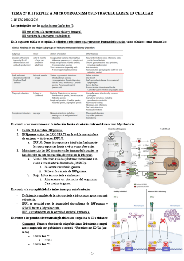 Miniatura del documento INMUNOPATOLOGIA-TEMA-27-R.I-FRENTE-A-MICROORGANISMOS-INTRACELULARES-ID-CELULAR.pdf