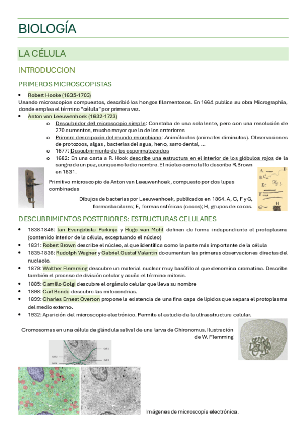 Miniatura del documento apuntes-biologia-2425-enf.pdf