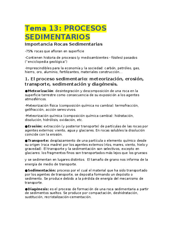 Miniatura del documento Tema 13-16.docx