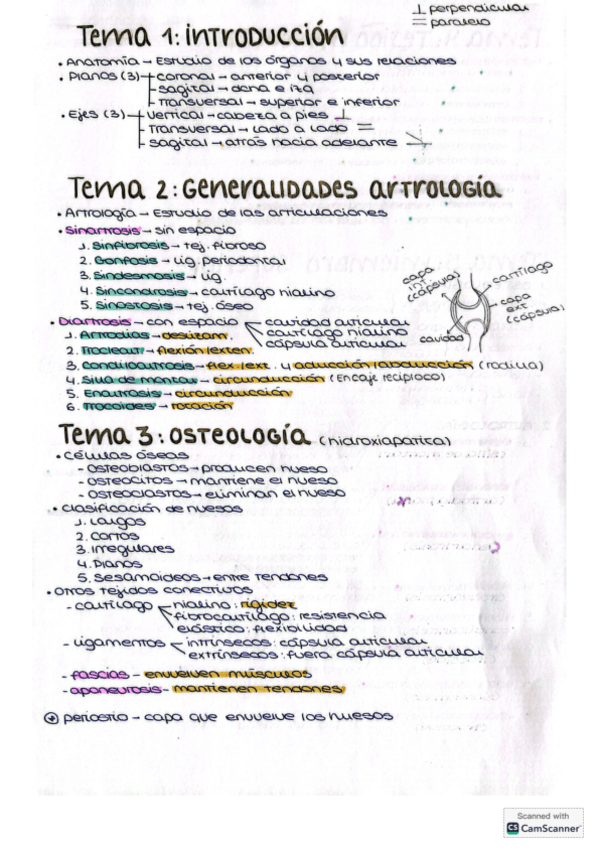 Miniatura del documento Resumenes-esquematizados-anato.pdf