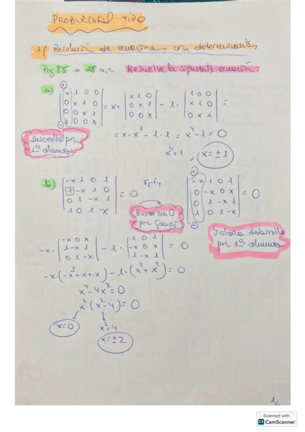 Miniatura del documento TEMA 2. DETERMINANTES. (EJERCICIOS TIPO SELECTIVIDAD).pdf