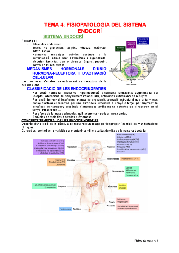 Miniatura del documento TEMA-4-FISIOPATOLOGIA-DEL-SISTEMA-ENDOCRI.pdf