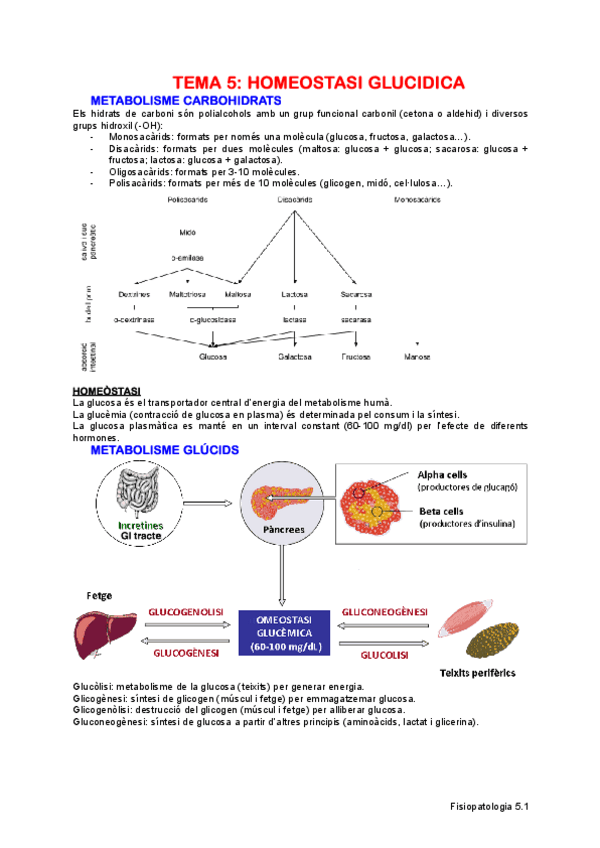 Miniatura del documento TEMA-5-FISIOPATOLOGIA-DEL-METABOLISME-INTERMEDIARI.pdf