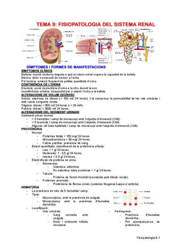 Miniatura del documento TEMA-9-FISIOPATOLOGIA-RENAL-I-DEL-TRACTE-URINARI.pdf