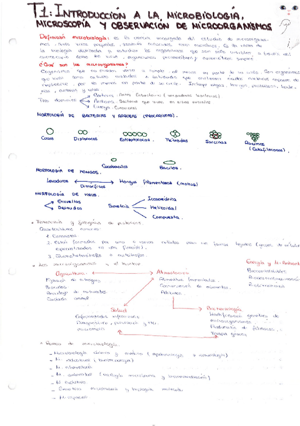 Miniatura del documento Binder1-pages-1-35-37-39,41-59,61-63,65-69,71-73,75-78.pdf
