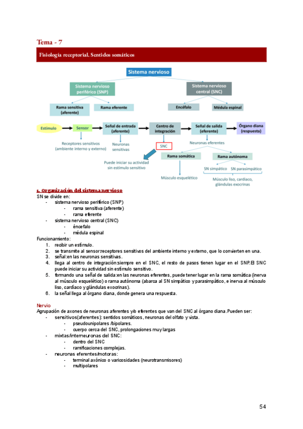 Miniatura del documento FA-7.pdf