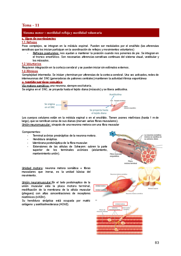 Miniatura del documento FA-11.pdf