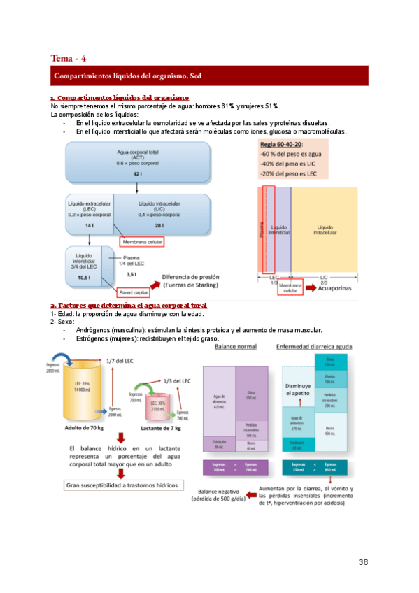 Miniatura del documento FA-4-6.pdf