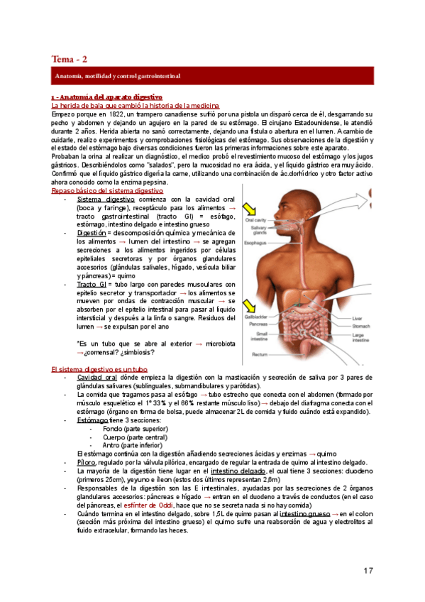 Miniatura del documento FA-2.pdf
