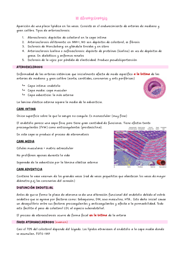 Miniatura del documento 10-Aterosclerosis.pdf